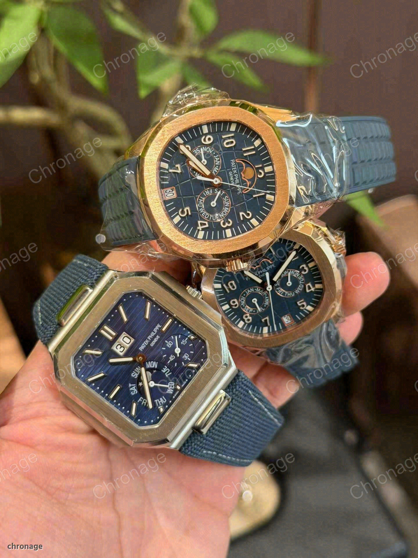 Whole watches
