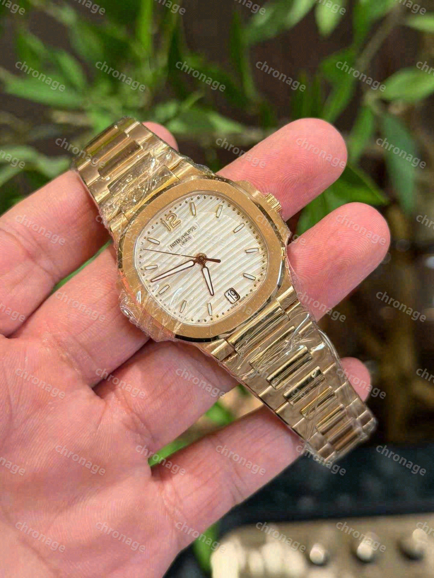 Ladies watches