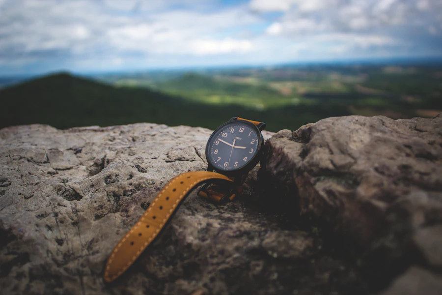 Voyager GMT Pepsi Bezel 40mm